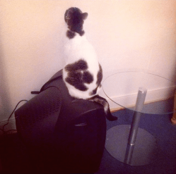 "Ein gewaltiger Jäger vor dem Herrn."