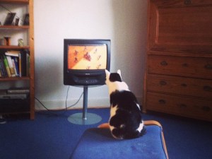 10641273_10203040382556476_4886339862688983815_n