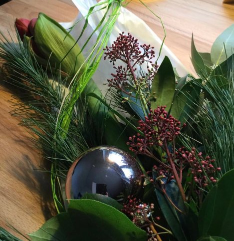 Die eben überreichte Amaryllis, kaum ausgepackt. zuerst