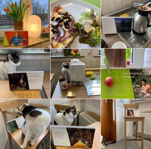 Das Wochenbild zeigt traditionell eine Fotocollage: Der Fastenkalender mit Deckblatt an seinem Stammplatz auf der Küchenfensterbank, die Sonntagsspeise und ein tägliches Foto des passend aufgeschlagenen Kalenders irgendwo in der Küche, mal mit mal ohne #NeoKater. fw2