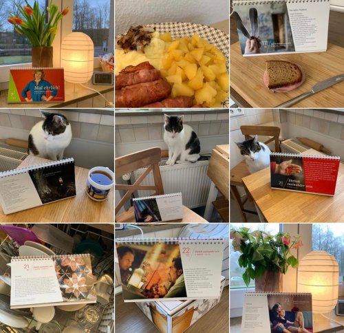 Wochenbild YQdfTXzm.jpg-medium