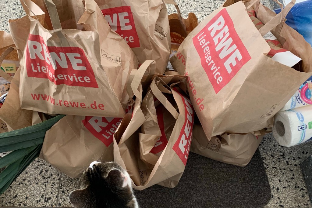 Lauter Papiertüten vom Rewe Lieferservice vor der Whnungstür und das Köpchen des #NeoKaters guckt über die Schwelle.