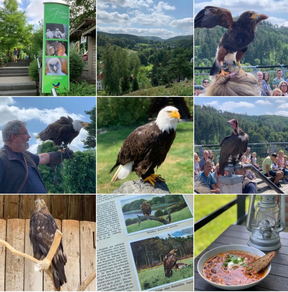 Fotocollage mit neun Bildern. Beschreibung der einzelnen Bilder im Text, zu erkennen an den Ziffern 1-9.