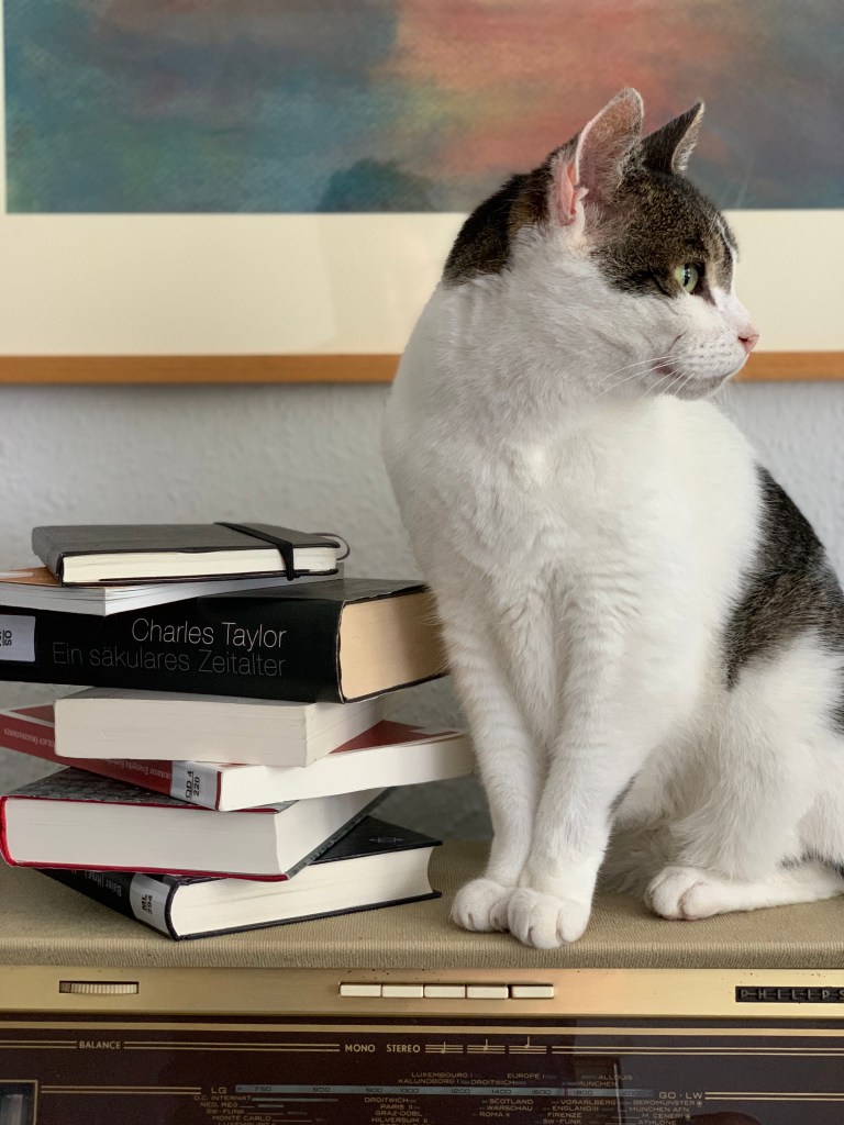 Auf der alten Radio ein Stapel Bücher mit Signaturen, zuoberst mein Notizbuch, daneben der #NeoKater.