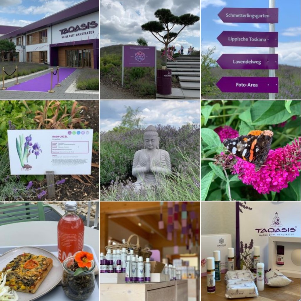 Fotocollage aus 9 Bildern. Bildbeschreibungen im Text mit fortlaufender Nummerierung.