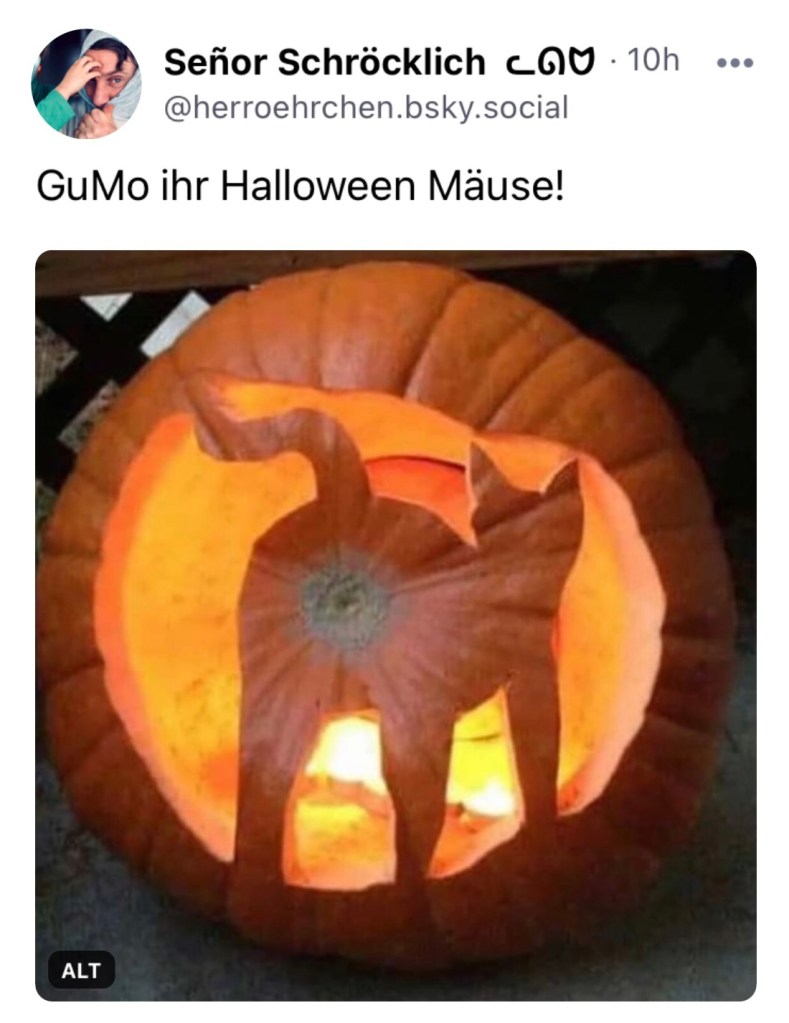Senor Schröcklich: GuMo ihr Halloween Mäuse!
Dem folgt das Foto eines Kürbis, in den eine Katze von hinten geschnitzt wurde, mit dem Blütenrest (diesem Knospendings) als Anus.