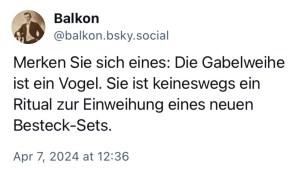 Balkon: Merken Sie sich eines: Die Gabelweihe ist ein Vogel. Sie ist keineswegs ein Ritua zur Einweihung eines neuen Besteck-Sets.
