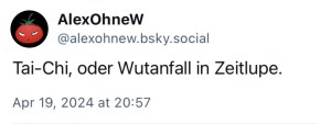 AlexOhneW: Tai-Chi oder Wutanfall in Zeitlupe.