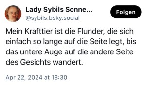 Lady Sybils Sonnenscheinheim für kranke Drachen: Mein Krafttier ist die Flunder, die sich einfach so lange auf die Seite legt, bis das untere Auge auf die andere Seite des Gesichts wandert.