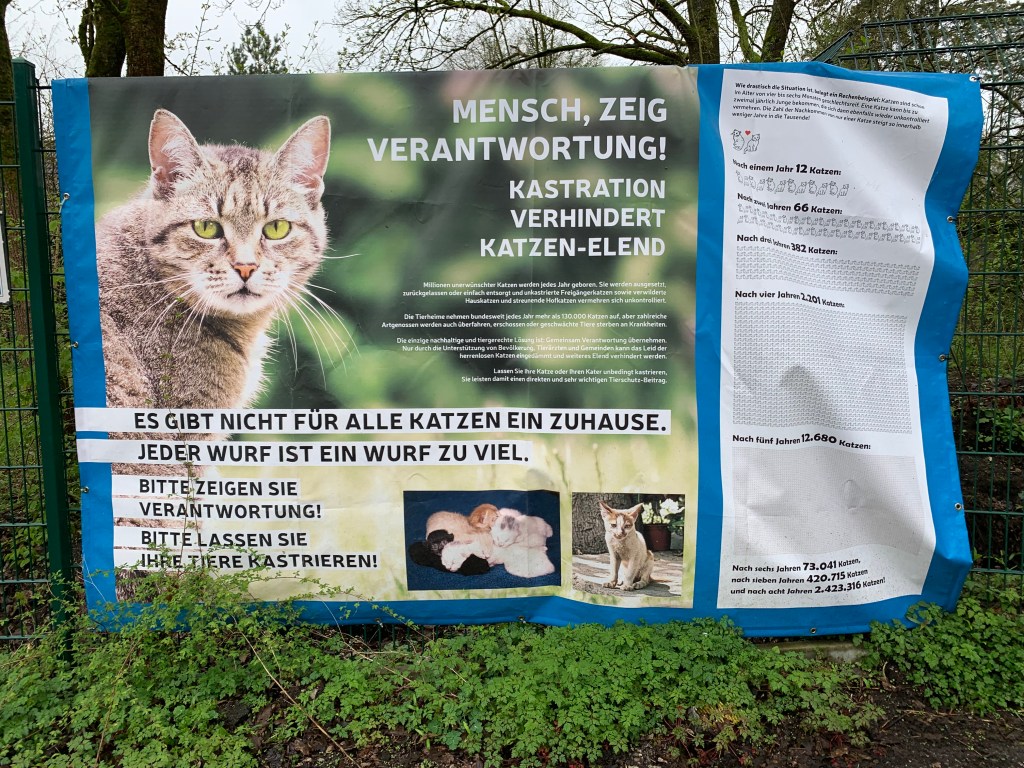 Foto des Banners mit einer Katze drauf und Infos zur Kastration, u.a. mit einer Statistik, die ich auszugsweise in einem Post bei Bluesky so zitierte: "Das Tierheim hatte neben dem Eingang ein Banner der Kastrationskampagne hängen. So werden aus zwei schnackselnden Katzen u.a. nach vier Jahren 2.201, nach fünf 12.680 und nach acht Jahren 2.423316 Katzen."