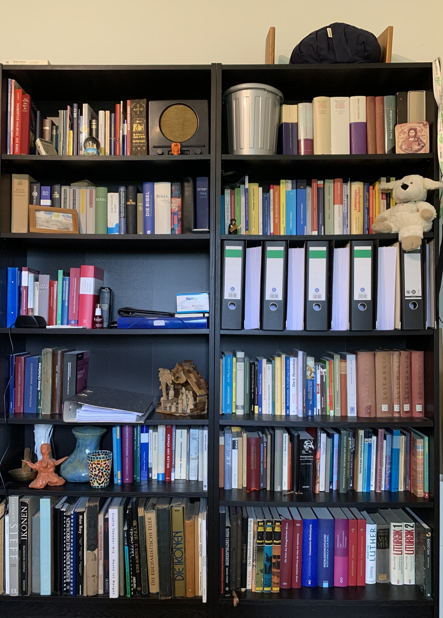 Mein dienstliches/fachliches Bücherregal mit einigen Stehrumchen  und der Goebbelsschnauze picobello aufgeräumt.