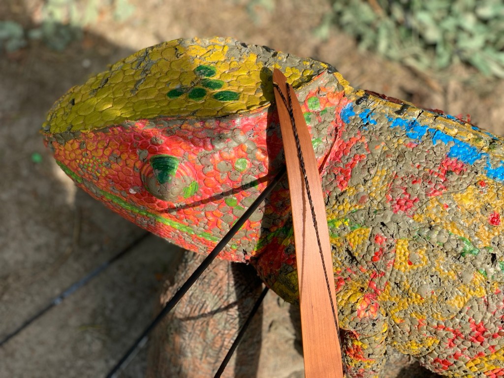 Kopf und Oberkörper des bunten Gummichamäleons auf dem Parcours. Da wo ich die Ohren vermuten würde, steckt ein Pfeil und lehnt meine Bogenspitze. Man sieht mit Mühe noch zwei weitere Pfeile, eher unter dem Gummitier.