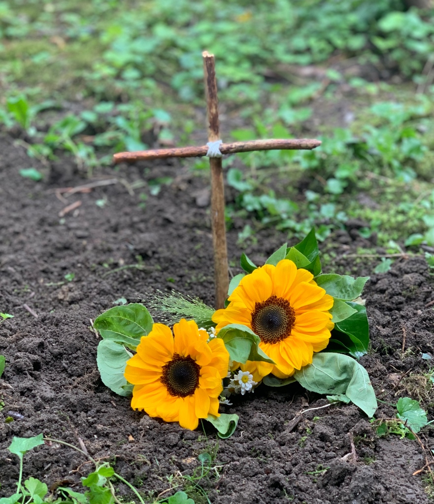 Das Grab mit Blumen und dem Kreuz aus Stöcken. Die Blumen sind zwei Sonnenblumen, etwas Kamille und Grün.