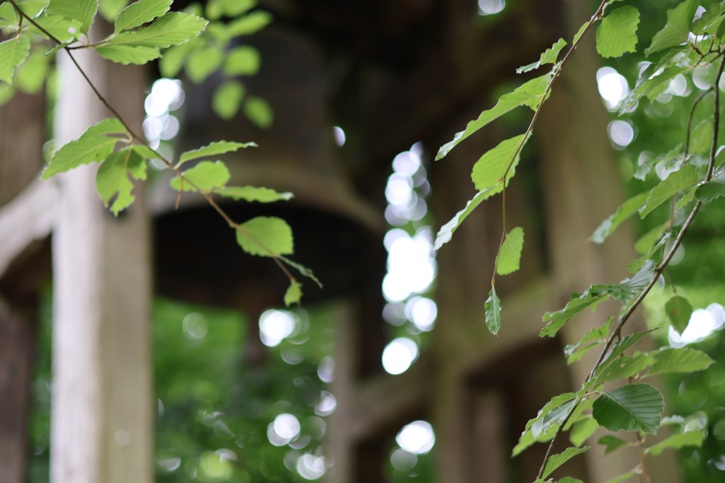 In einer Waldkirche hängt eine Glocke in einem Holzgerüst. Ich habe sie durch einige begrünte Zweige hindurch fotografiert und dahinter sieht man das Grün des Waldes. Abgesehen von einigen der Blätter und Zweige im Vordergrund ist alles sehr verschwommen, der an manchen Stellen durchscheinende graue Himmel wirkt wie Schaumspritzer oder Wasserflecken.