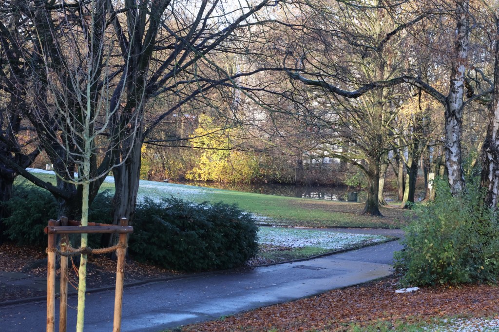 Blick aus meinem Schlafzimmerfenster Richtung Park und Teich mit Weg und alten Bäumen. Die Wiese ist an den schattigen Ecken leicht mit Schnee überzuckert.