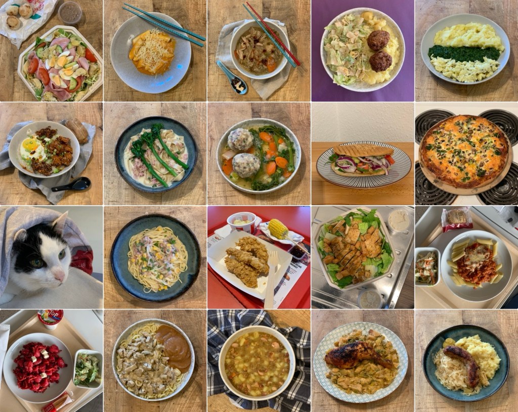 Die in der Reihenfolge der Liste fotografierten Mahlzeiten als Fotocollage in einem Raster von 5 x 4 Fotos. Damit das aufgeht, zeigt Bild 11 den Kopf des #DiätKaters, wie er mit Madonnenblick unter der Bettdecke hervorlugt.