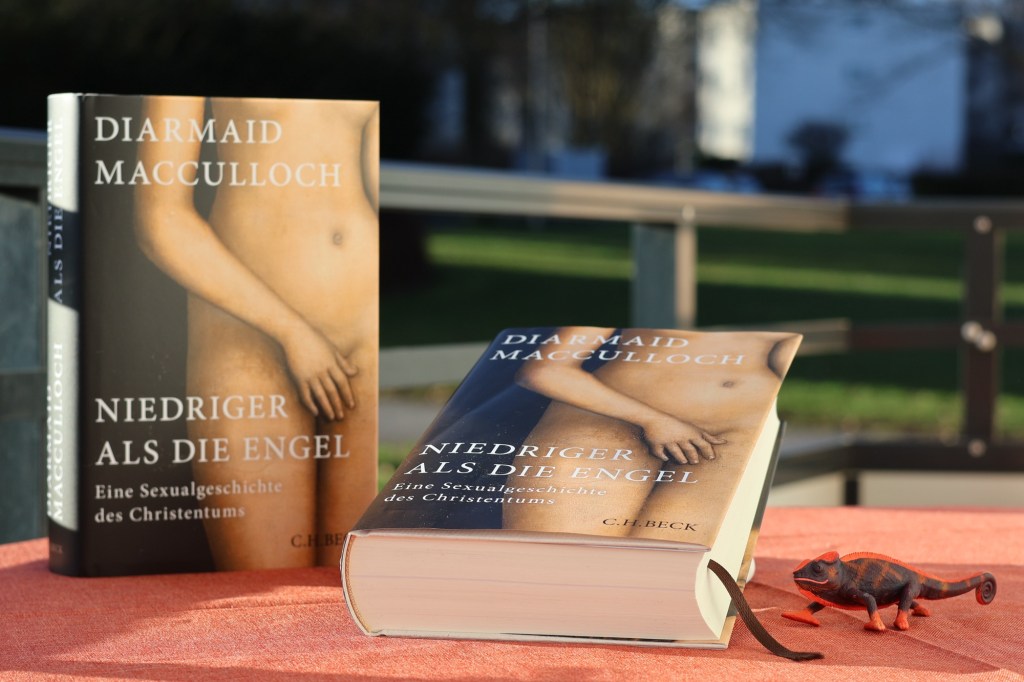 Die beiden Exemplare nebeneinander. Links steht es aufrecht, rechts liegt es, am Kopf erhöht. Daneben rechts steht ein kleines Gummi-Chamäleon mit orangenen Füßen und Rändern. So wie die Tischdecke orange ist, auf der ich das Alles platziert habe. Und zwar auf dem Balkon in der Morgensonne mit verschwommenem Blick ins Grüne.